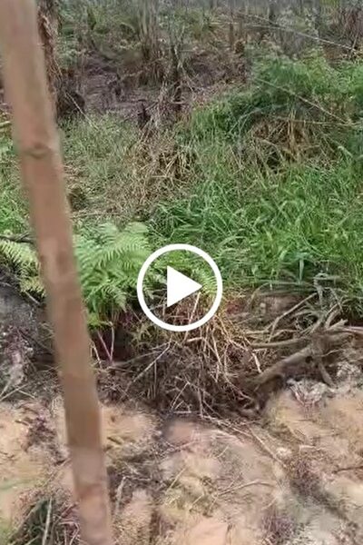 10 Acre land for Sale behind Odibo Estate. #0087